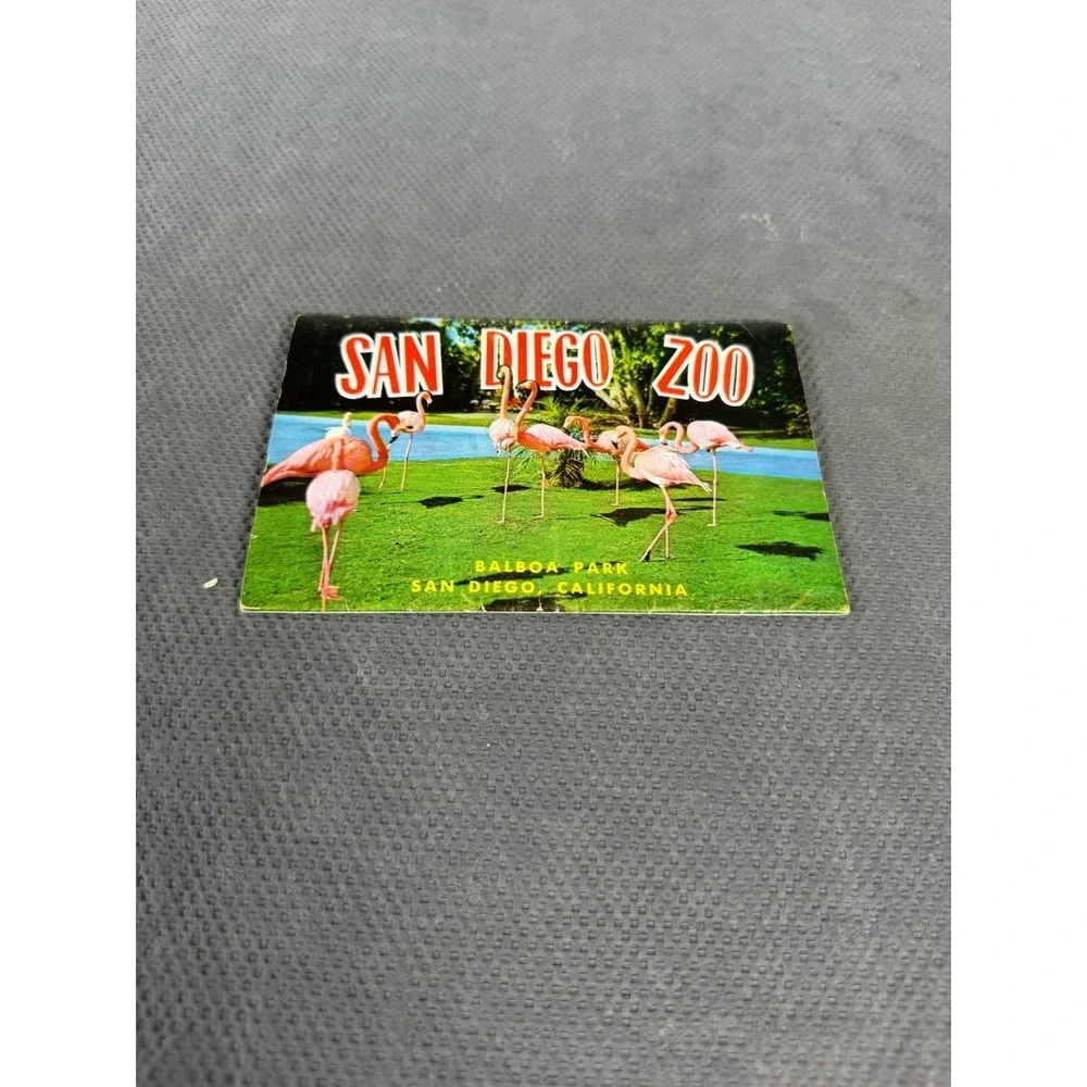 Vintage San Diego Zoo Postcard Folder 12 Views Balboa Park California Curt Teich